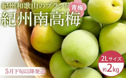 【2026年5月下旬以降発送】紀州南高梅(青梅) 2kg〈2Lサイズ〉 1838902 - 和歌山県上富田町