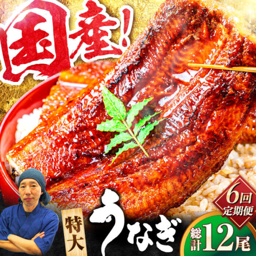 【全6回定期便】国産！九州仕立ての特大うなぎ蒲焼 計400g（200g×2尾）吉野ヶ里町/株式会社フジマキ うなぎ ウナギ 国産 [FDM009] 1838939 - 佐賀県吉野ヶ里町