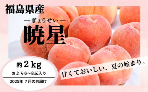 ◆2025年夏発送◆暁星～産直・桃・約2kg～ ｜ 先行予約 予約 数量限定 桃 もも モモ 果物 くだもの フルーツ 詰め合わせ 福島 ふくしま　※離島への配送不可　※2025年7月上旬～7月下旬頃に順次発送予定 1838943 - 福島県国見町