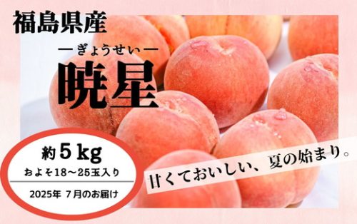 ◆2025年夏発送◆暁星～産直・桃・約5kg～ ｜ 先行予約 予約 数量限定 桃 もも モモ 果物 くだもの フルーツ 詰め合わせ 福島 ふくしま　※離島への配送不可　※2025年7月上旬～7月下旬頃に順次発送予定 1838946 - 福島県国見町