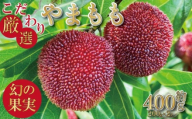 [先行予約]やまもも 400g 2026年6月下旬より順次発送 小分け パック 季節 フルーツ レア ベリー 山桃 健康 ジャム 果実酒 おやつ お菓子 スムージー 小松島市 国産