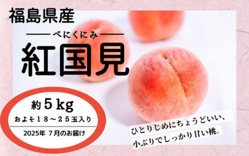 ◆2025年夏発送◆紅国見～産直・桃・約5kg～ ｜ 先行予約 予約 数量限定 桃 もも モモ 果物 くだもの フルーツ 詰め合わせ 福島 ふくしま　※離島への配送不可　※2025年7月上旬～7月下旬頃に順次発送予定 1839105 - 福島県国見町