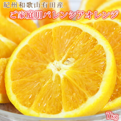 G6093_希少な国産バレンシアオレンジ 7kg 【家庭用 訳あり】
