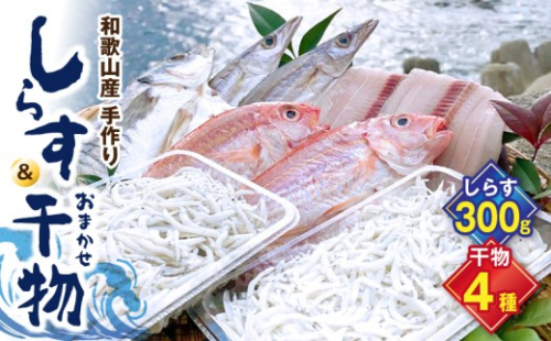 DL6001n_しらす ・ 干物 おまかせ詰め合わせ セット A 183937 - 和歌山県湯浅町