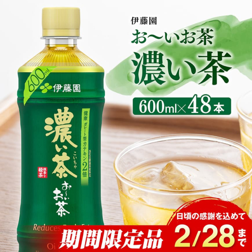 【期間限定】お～いお茶 濃い茶600ml×48本 PET【 飲料類 ソフトドリンク お茶 ペットボトル 】 宮崎県川南町 183979 - 宮崎県川南町