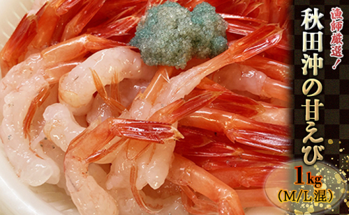 漁師厳選！秋田沖のほっこく赤エビ（甘えび） 1kg 甘海老 あまエビ 海老  184012 - 秋田県にかほ市