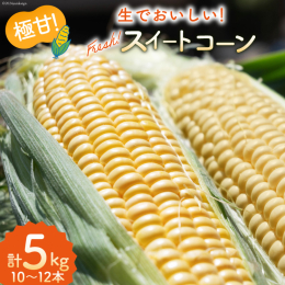 ●生でおいしい！「激甘スイートコーン」 糖度が高く、生でもおいしく食べれます。 こだわりのもぎたてスイートコーン。 糖度が高いので噛めば噛むほど甘みが増します。 島原の肥沃な土壌ときれいな湧水を使用し