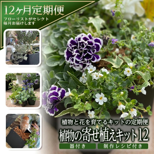 SL0232　【12回定期便】植物と花を育てるキットの定期便「植物の寄せ植えキット スクエア12」 184207 - 山形県酒田市