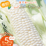AI206【令和8年度出荷分】とうもろこし スイートコーン ホワイト 2L～3Lサイズ 11本～12本 計5kg [ トウモロコシ コーン ホワイトコーン 野菜 5キロ さかいさんち SAKAI FARM 長崎県 島原市 ]