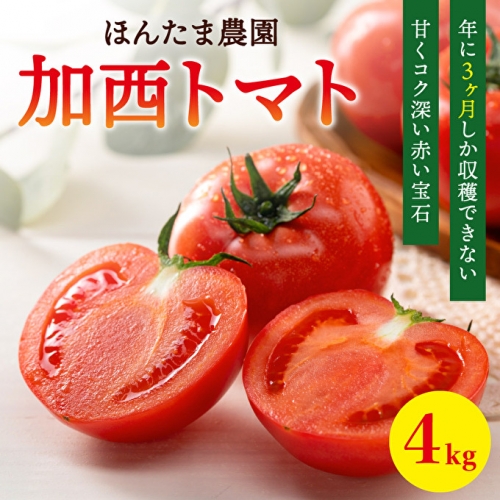 加西市産 ほんたま農園の大玉トマト 4kg（2kg×2箱） 184247 - 兵庫県加西市