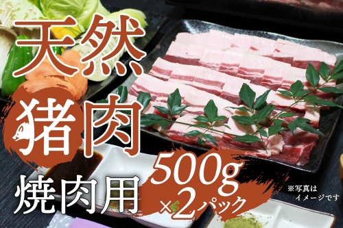 天然イノシシ肉（スライス厚め・冷凍）焼肉・鉄板焼き用 約500g×2P 184395 - 鹿児島県肝付町