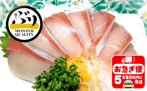 B2-4773／【鹿児島産ぶり】冷蔵・ぶりフィレ（半身1枚） 184522 - 鹿児島県垂水市