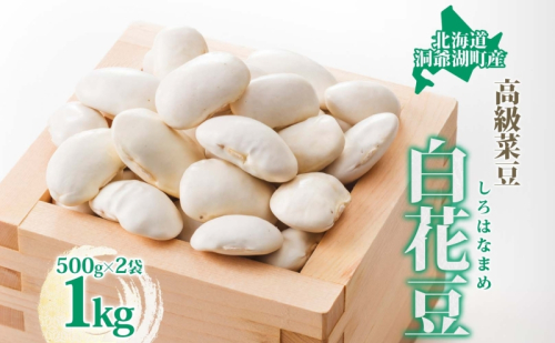 北海道 洞爺湖町産 高級菜豆 白花豆 500g×2袋 計1kg 12月中旬よりお届け しろはなまめ 花豆 豆 マメ まめ 大粒 甘い 北海道産 国産 煮豆 スープ 煮込み料理 常温 お取り寄せ 送料無料 【 洞爺湖町 】 184528 - 北海道洞爺湖町