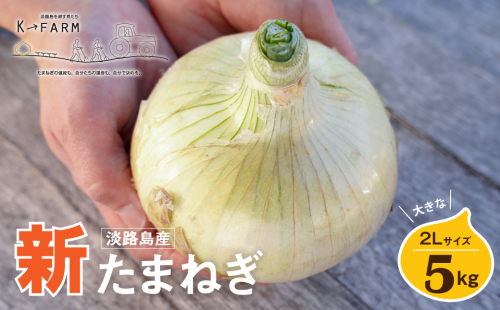 【新たまねぎ】淡路島たまねぎ 大きな2Lサイズ 5kg【発送時期：2026年3月下旬～5月頃】　[玉ねぎ 産地直送 玉ねぎ] 184588 - 兵庫県淡路市