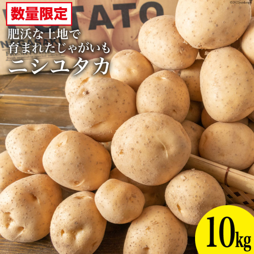 AG092 【令和8年度出荷分】肥沃な土地で育まれた じゃがいも （ニシユタカ）＜数量限定＞ 184683 - 長崎県島原市