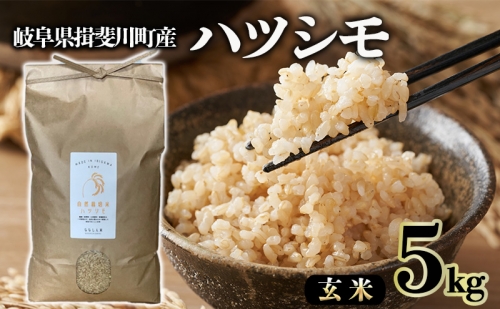 自然尊重で育てた安全な美味しい自然米ハツシモ（玄米）5kg 184744 - 岐阜県揖斐川町