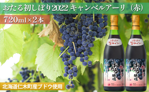 赤ワイン720ml×2本「おたる初しぼりキャンベルアーリ」（赤/やや甘口） 北海道 仁木町［JA新おたる］【 ブドウ ぶどう グレープ お酒 ワイン 赤 甘口 やや甘口 フルーツ 】 184785 - 北海道仁木町