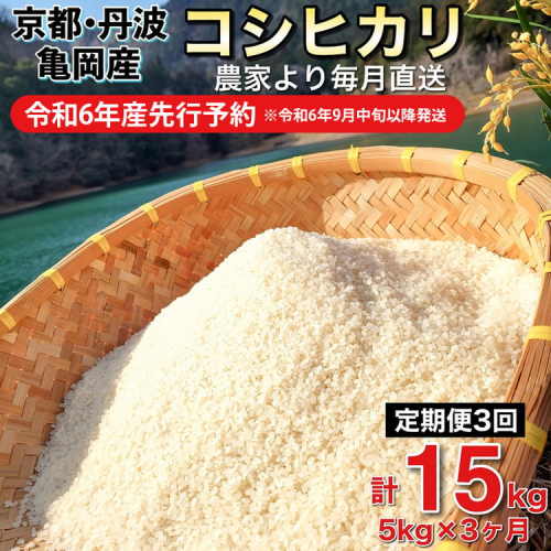 【期間限定 特別価格】米 定期便 5kg×3ヶ月 15kg コシヒカリ 佐伯の里の源流米 希少 農家直送 令和4年産 令和5年産 新米 白米 5キロ 3回 家計応援 生活応援※北海道・沖縄・離島への配送不可 184900 - 京都府亀岡市