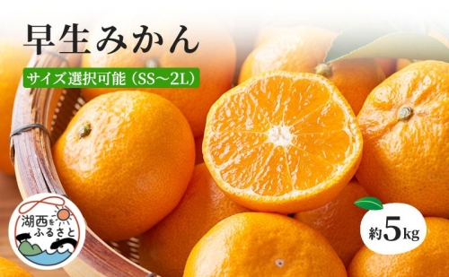【オンライン決済限定】早生みかん約5kg 〔鈴木農園〕サイズ選択可能 184967 - 静岡県湖西市