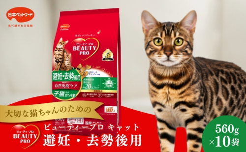 日本ペットフード ビューティープロ キャット 避妊・去勢後用 560g（80g×7袋入）×10袋（ケース） キャットフード 1850171 - 静岡県袋井市