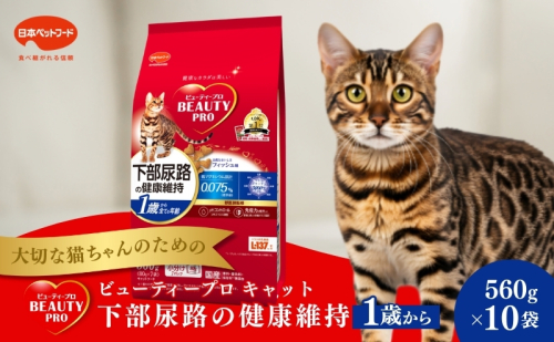 日本ペットフード ビューティープロ キャット 下部尿路の健康維持 1歳から 560g（80g×7袋入）×10袋（ケース） キャットフード 1850173 - 静岡県袋井市