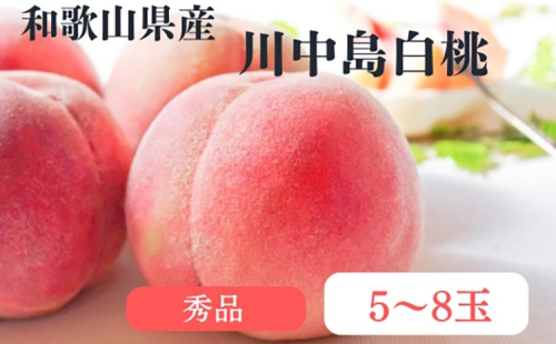 和歌山県産 川中島白桃 桃 5～8玉入り 秀品 先行予約 | 和歌山県 川中島 白桃 フルーツ 果物 くだもの 桃 もも 大玉 モモ ピーチ ギフト お取り寄せ 贈答用 秀 家庭用 自宅用 贈答品 化粧箱 1850563 - 和歌山県美浜町