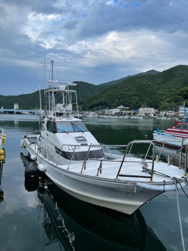 ハローズ 近海便乗船券 乗り合い 1回分 （エサ釣り・ジギング・タイラバ等） ／ チケット 釣り フィッシング アウトドア 水洗トイレ キャビン 氷サービス有り 三重県 大紀町 1851252 - 三重県大紀町