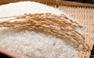 【クレジット決済限定】令和2年産新米　きぬむすめ　10kg　無洗米