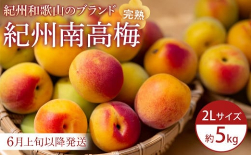 【2026年6月上旬以降発送】紀州南高梅(完熟梅) 5kg〈2Lサイズ〉 1852062 - 和歌山県上富田町