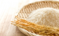 【クレジット限定】令和2年産新米　ミルキークイーン　10kg　無洗米