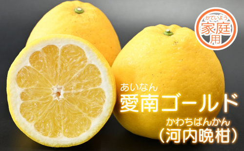 【家庭用】愛南フルーツの愛南ゴールド（河内晩柑）5kg (なくなり次第終了) 185475 - 愛媛県愛南町