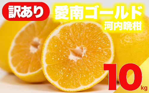 【 先行予約 】 訳あり 減農薬 愛南ゴールド 河内晩柑 10kg サイズ ミックス 家庭用 産直 農家直送 和製 グレープフルーツ 家庭用 甘い 爽やか 瑞々しい ジューシー 濃厚 旨味 酸味 旬 初夏 柑橘 みかん 蜜柑 不揃い サイズ混合 ジュース ゼリー ジャム マーマレード デザート 焼酎割り サワー 先行予約 予約受付 期間限定 数量限定 愛媛県 愛南町 愛南フルーツ 185476 - 愛媛県愛南町