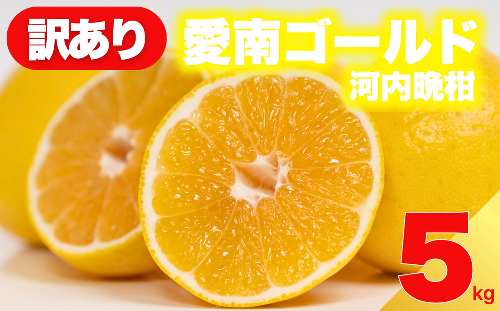 【 先行予約 】 訳あり 減農薬 愛南ゴールド 河内晩柑 5kg サイズ ミックス 家庭用 産直 農家直送 和製 グレープフルーツ 家庭用 甘い 爽やか 瑞々しい ジューシー 濃厚 旨味 酸味 旬 初夏 柑橘 みかん 蜜柑 不揃い サイズ混合 フレッシュジュース ジュース ゼリー ジャム マーマレード デザート 焼酎割り サワー 先行予約 予約受付 期間限定 数量限定 愛媛県 愛南町 愛南フルーツ 185477 - 愛媛県愛南町