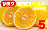 [ 先行予約 ] 訳あり 減農薬 愛南ゴールド 河内晩柑 5kg サイズ ミックス 家庭用 産直 農家直送 和製 グレープフルーツ 家庭用 甘い 爽やか 瑞々しい ジューシー 濃厚 旨味 酸味 旬 初夏 柑橘 みかん 蜜柑 不揃い サイズ混合 フレッシュジュース ジュース ゼリー ジャム マーマレード デザート 焼酎割り サワー 先行予約 予約受付 期間限定 数量限定 愛媛県 愛南町 愛南フルーツ