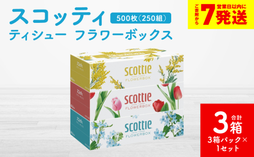 ＼スピード発送／【スコッティ】 ティシュー フラワーボックス 250組 3箱 ティッシュ 日用品 生活必需品 防災備蓄 ストック 備蓄 新生活 防災 消耗品 生活用品 日用消耗品 箱ティッシュ スピード発送 【7営業日以内に発送】
 1855163 - 熊本県八代市