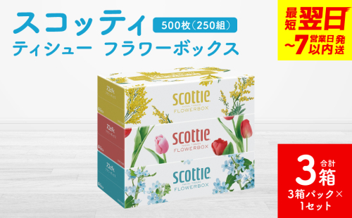 ＼スピード発送／【スコッティ】ティシュー フラワーボックス 250組 3箱パック×1セット 合計3箱 ティッシュ 日用品 生活必需品 スピード発送 【7営業日以内に発送】 1855163 - 熊本県八代市