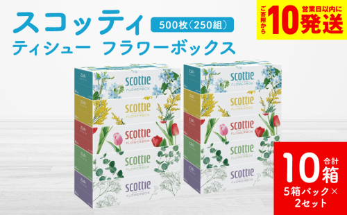 【スコッティ】ティシュー フラワーボックス 250組 5箱パック×2セット 合計10箱 ティッシュ 日用品 生活必需品 1855164 - 熊本県八代市