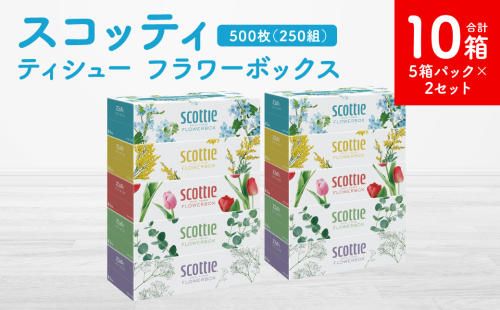 【スコッティ】ティシュー フラワーボックス 250組 5箱パック×2セット 合計10箱 ティッシュ 日用品 生活必需品 1855164 - 熊本県八代市