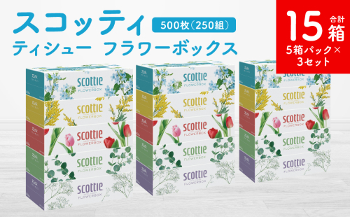 【スコッティ】ティシュー フラワーボックス 250組 5箱パック×3セット 合計15箱 ティッシュ 日用品 生活必需品 消耗品 紙 まとめ買い 備蓄 防災備蓄 デザインボックス 1855166 - 熊本県八代市