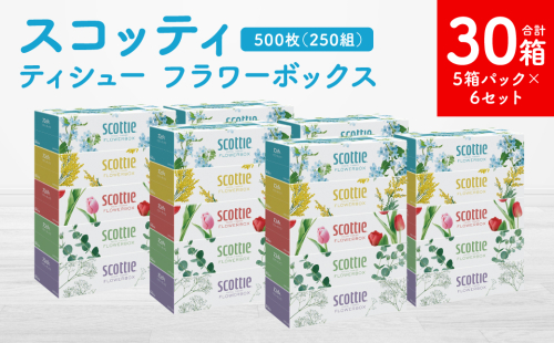 【スコッティ】ティシュー フラワーボックス 250組 5箱パック×6セット 合計30箱 ティッシュ 日用品 生活必需品 1855167 - 熊本県八代市