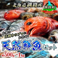 お魚の目利きのプロにお任せ！北海道産（国産） 天然 鮮魚 約500g～1kg（釧路の鮮魚セット）