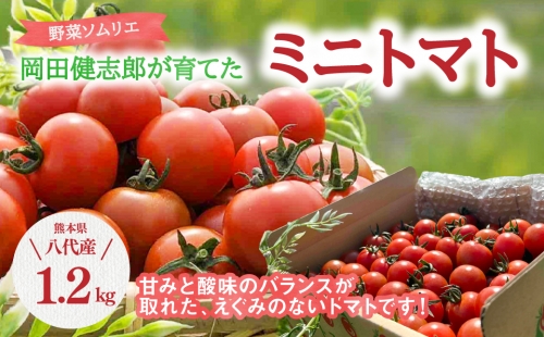 野菜ソムリエ岡田健志郎が育てた ミニトマト 1.2kg 185668 - 熊本県八代市