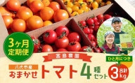 【定期便 3回】おかませトマト4種 3kg  八代市産 トマト 計9kg