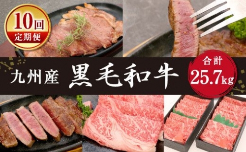【定期便 10回】九州産 黒毛和牛 合計25.7kg A4 A5 牛肉