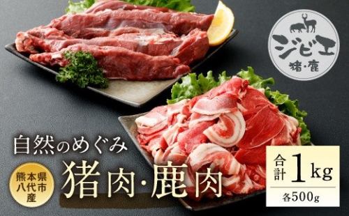 自然のめぐみ 猪肉 500g 鹿肉500g 合計1kg ジビエ イノシシ 185770 - 熊本県八代市