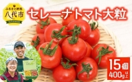 【先行予約】【2021年11月以降発送】宮島農園 セレーナトマト 大粒 15個 400g以上 トマト 八代市産