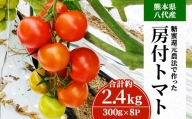 【2021年11月上旬より順次発送】糖蜜還元農法で作った 熊本県 八代産 房付 トマト 計約2.4kg（300g×8P）