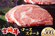 宮崎牛 ロース ステーキ 2枚 計500g [ミヤチク 宮崎県 美郷町 31au0093] 牛肉 肉 冷凍 宮崎県産 国産 霜降り サシ BBQ バーベキュー