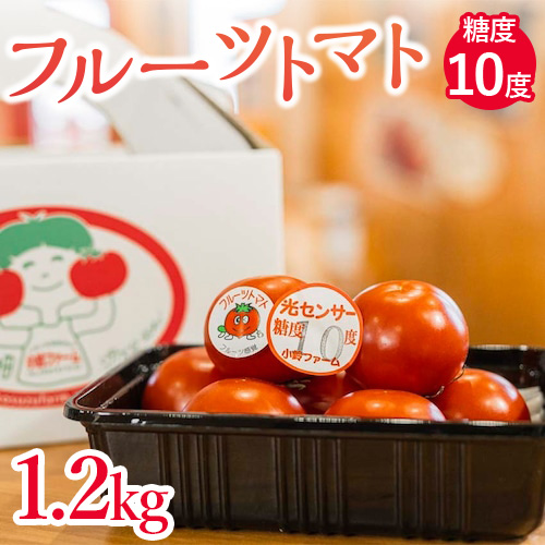 フルーツトマト糖度10度　1.2kg | 愛知県産 国産 野菜 産地直送 高糖度
※2024年1月～4月まで順次発送予定
