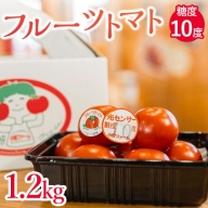 フルーツトマト糖度10度　1.2kg | 愛知県産 国産 野菜 産地直送 高糖度 ※2023年1月～4月まで順次発送予定